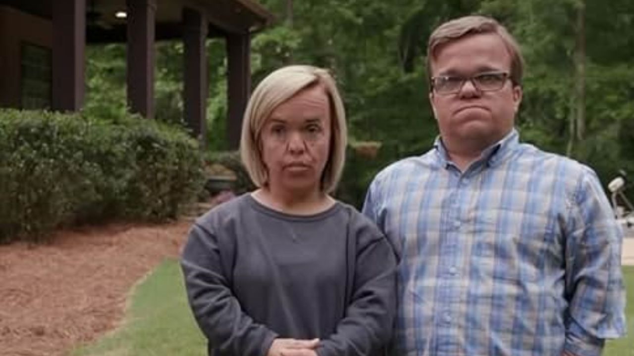 7 LITTLE JOHNSTONS