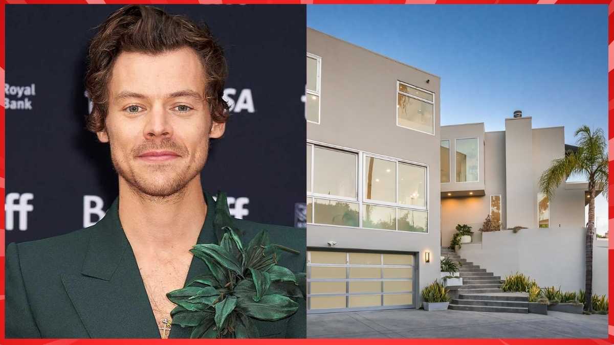 harry styles property