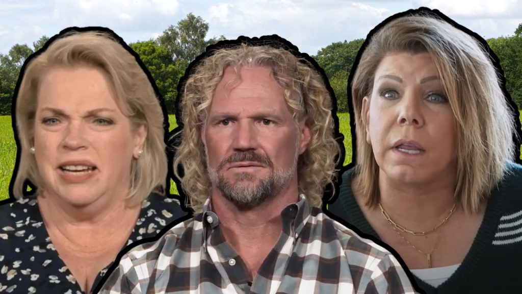 sister wives janelle kody and meri