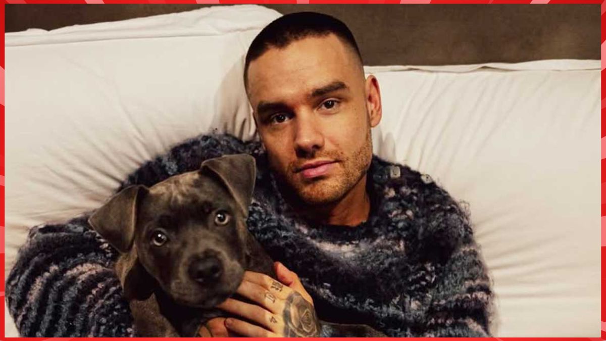 Liam Payne’s Final Project Lives On Netflix Confirms Summer Release Of Building The Band