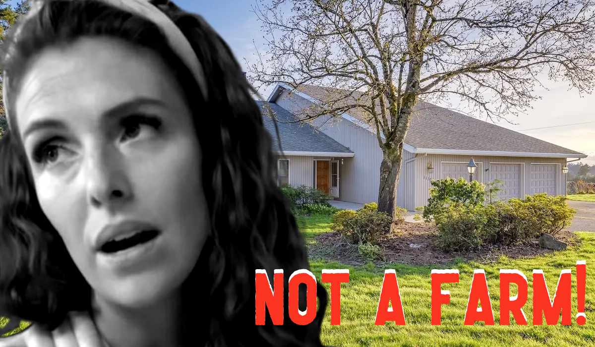 Little People Big World