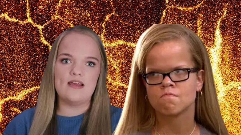 7 Little Johnstons - Liz-Anna