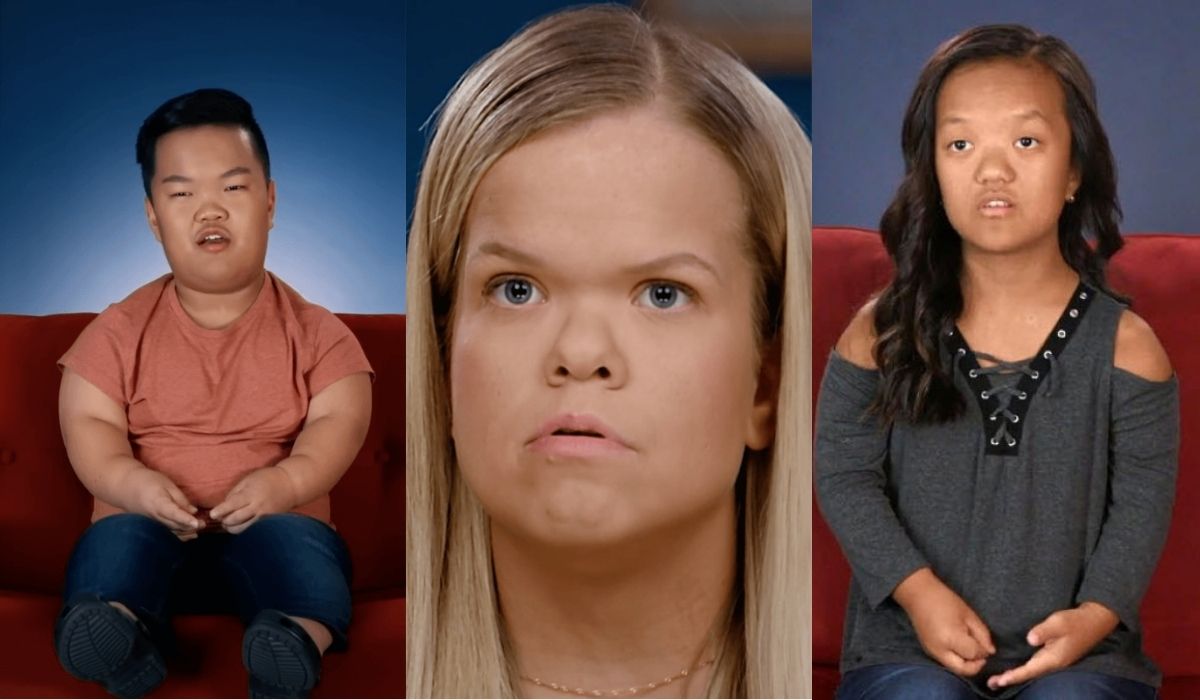 7 Little Johnstons