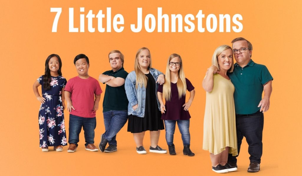 7 Little Johnstons