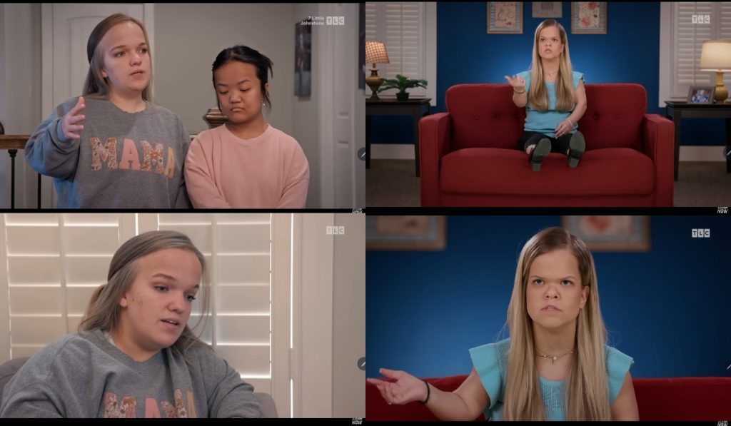 7 Little Johnstons