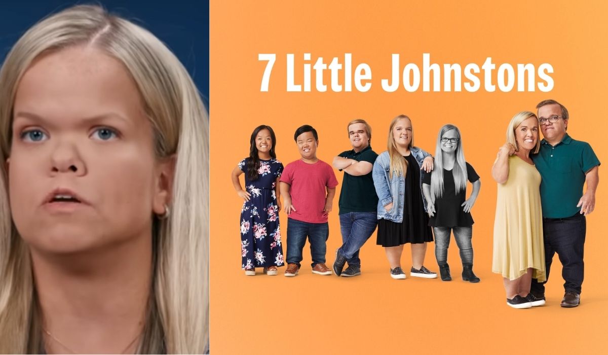 7 Little Johnstons