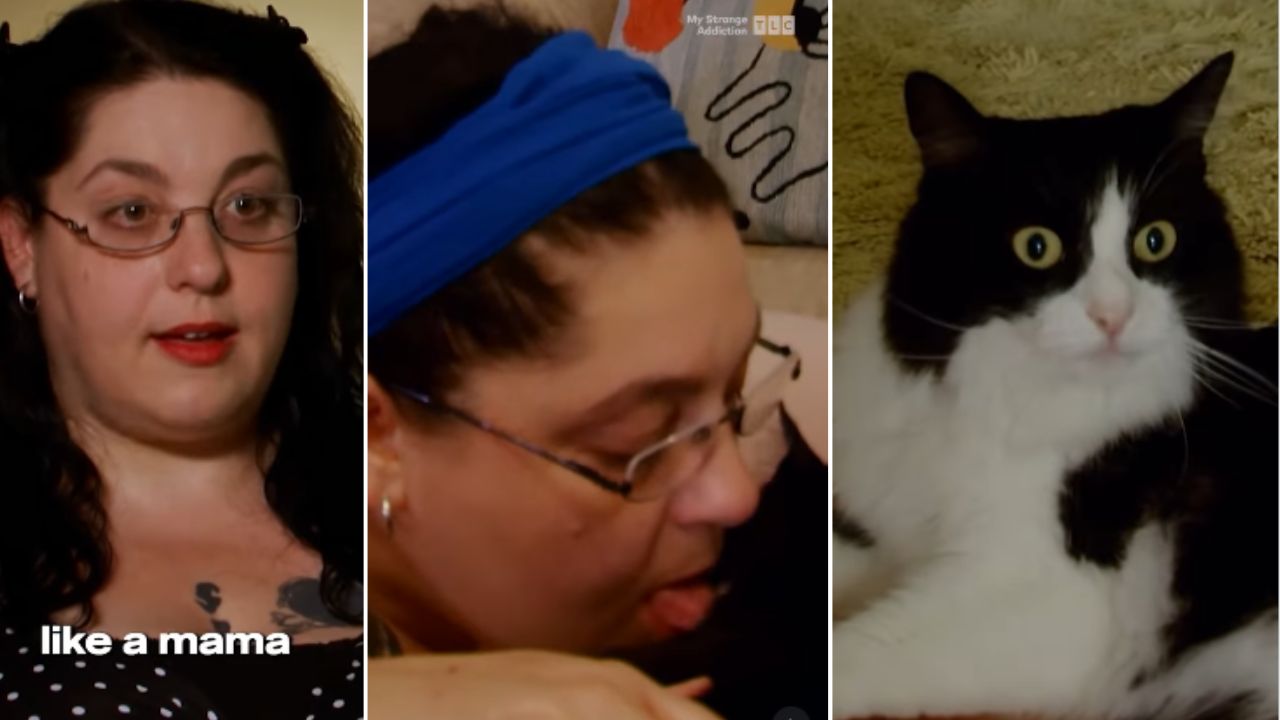 MY STRANGE ADDICTION