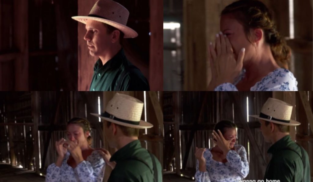 Suddenly Amish
