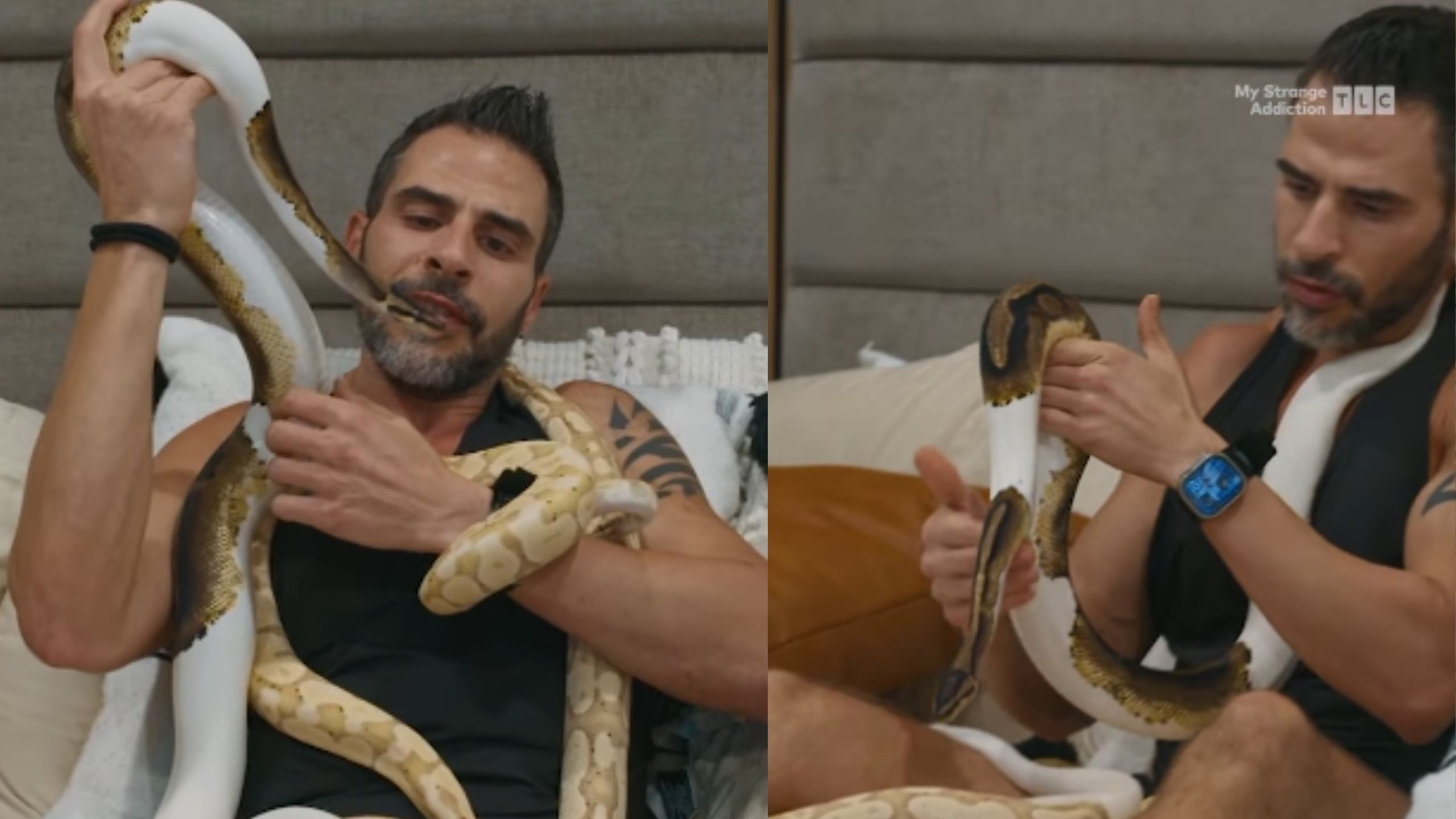 my strange addiction snakes