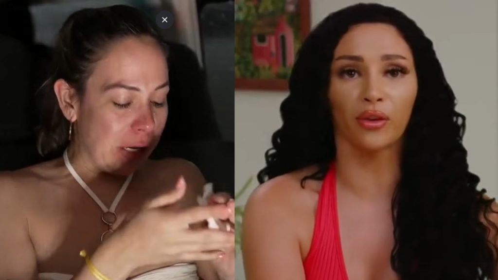 90 day fiance sophie liz fight