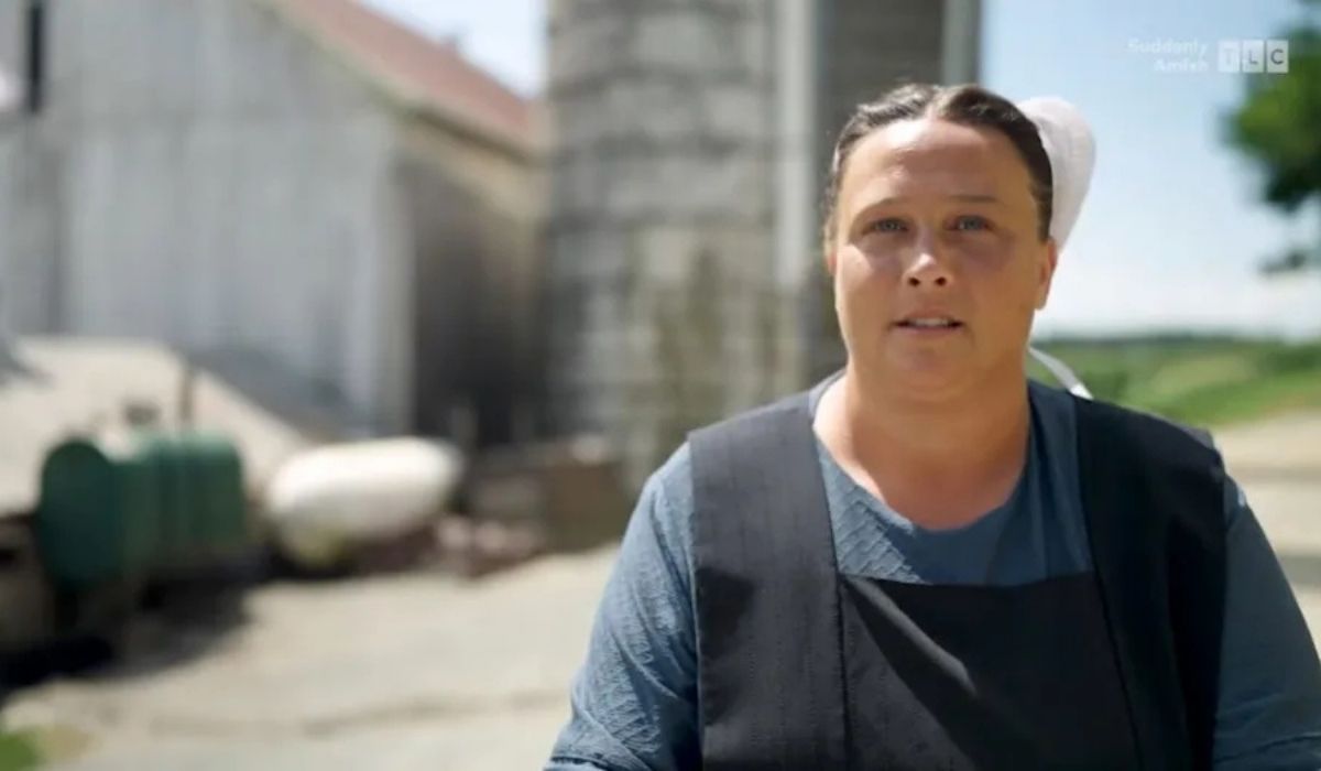 Suddenly Amish