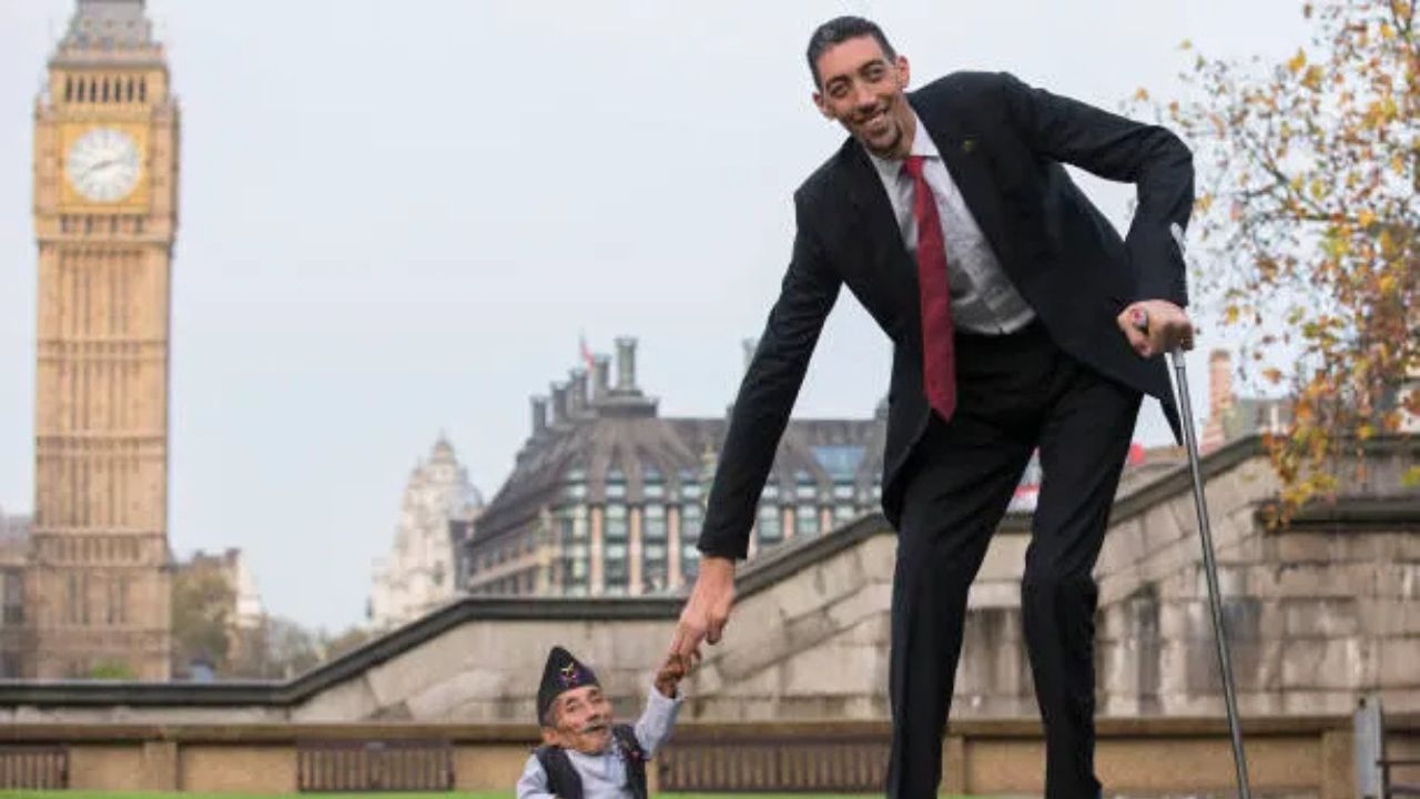 World’s Tallest Man
