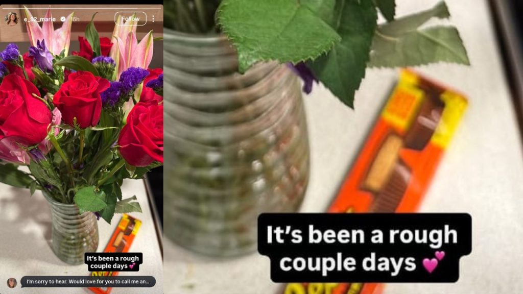 90 day fiance liz woods